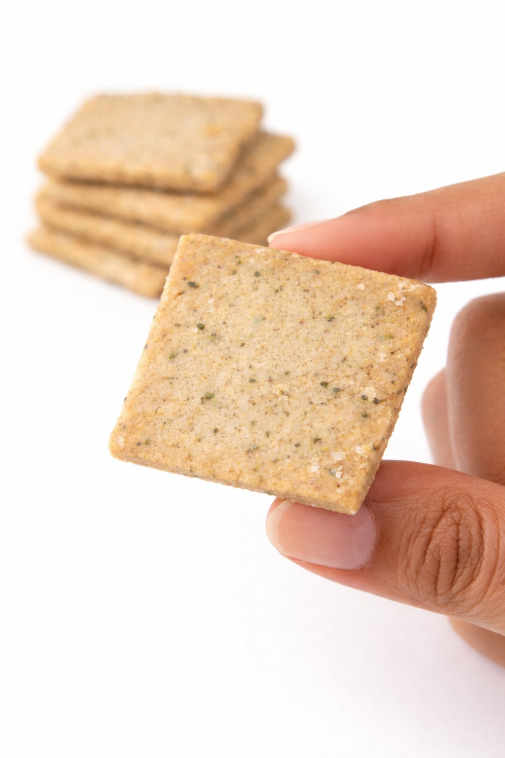 Parmesan Rosemary Shortbread Cookie